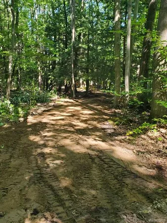 $128,600 | 8204 Partridge Trail, Elk Rapids, MI 49629