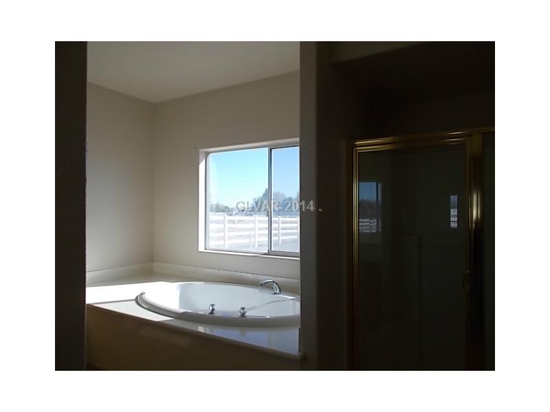 2741 West Blosser Ranch Road Pahrump, NV 89060 - Photo 10 of 19 Master Bath/Spa.
