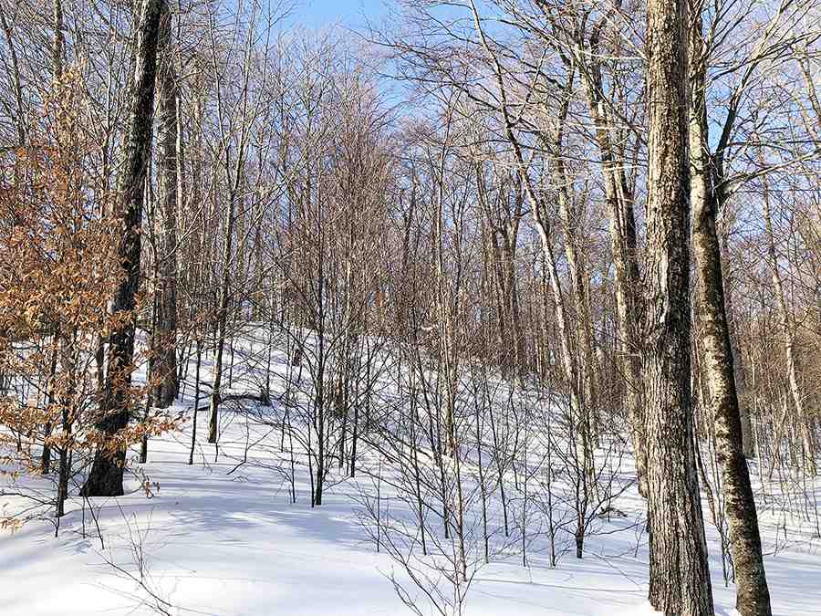 130 Colony Road, Unit 2 Warren, VT 05674 - Photo 15 of 29