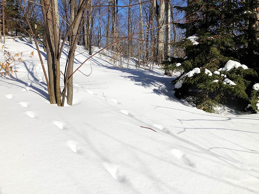 130 Colony Road, Unit 2 Warren, VT 05674 - Photo 16 of 29