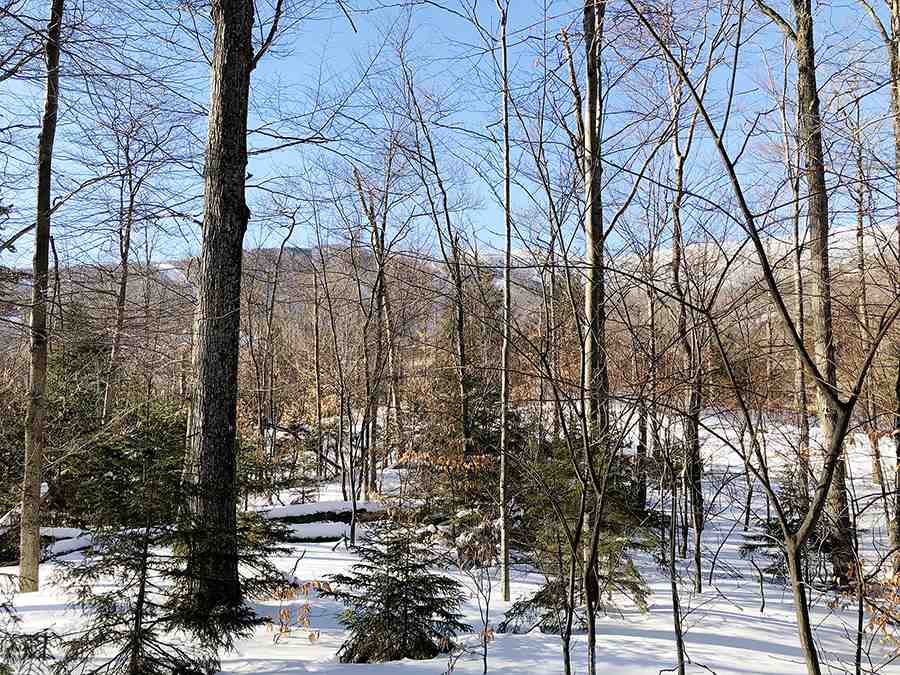 130 Colony Road, Unit 2 Warren, VT 05674 - Photo 17 of 29