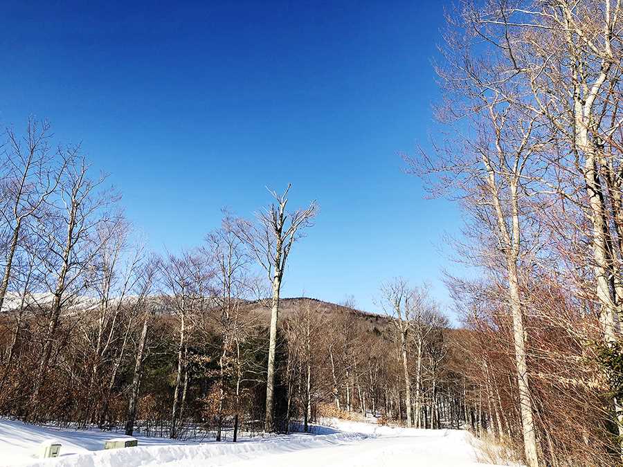 130 Colony Road, Unit 2 Warren, VT 05674 - Photo 19 of 29
