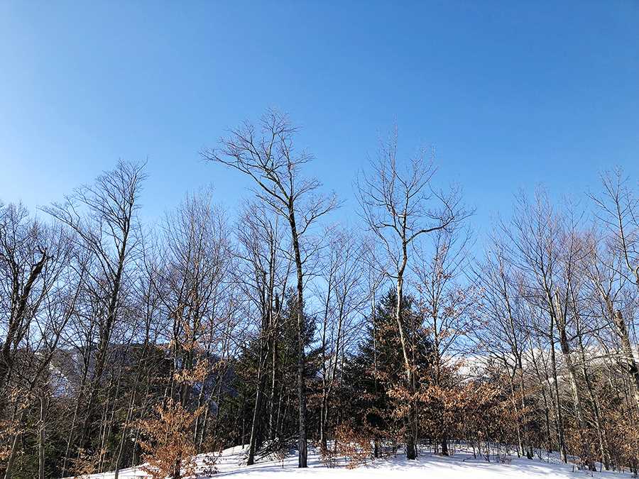 130 Colony Road, Unit 2 Warren, VT 05674 - Photo 20 of 29