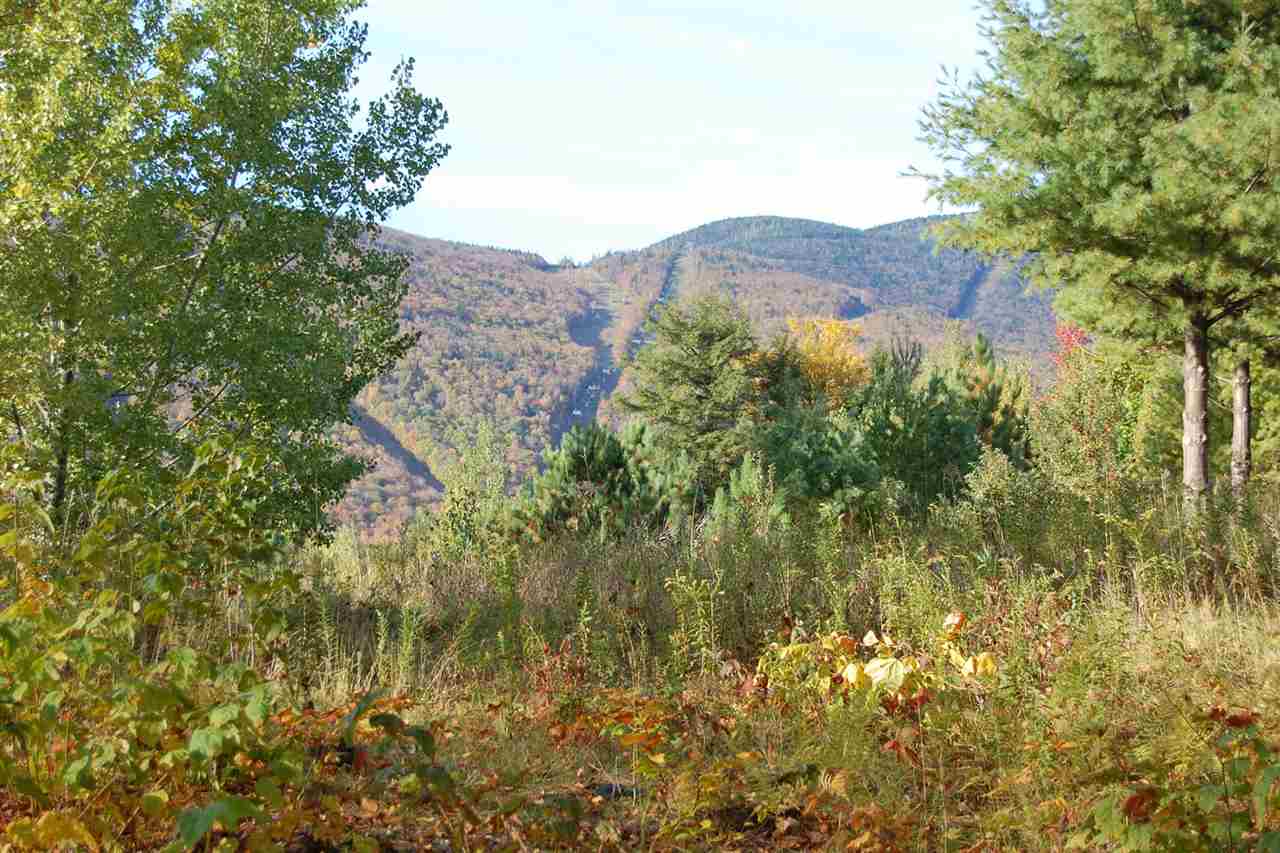 130 Colony Road, Unit 2 Warren, VT 05674 - Photo 3 of 29