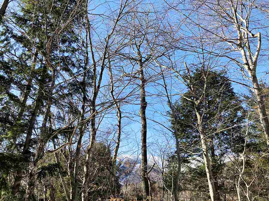 130 Colony Road, Unit 2 Warren, VT 05674 - Photo 23 of 29