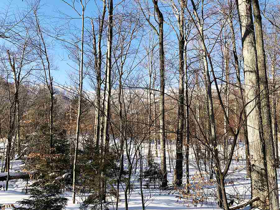 130 Colony Road, Unit 2 Warren, VT 05674 - Photo 25 of 29