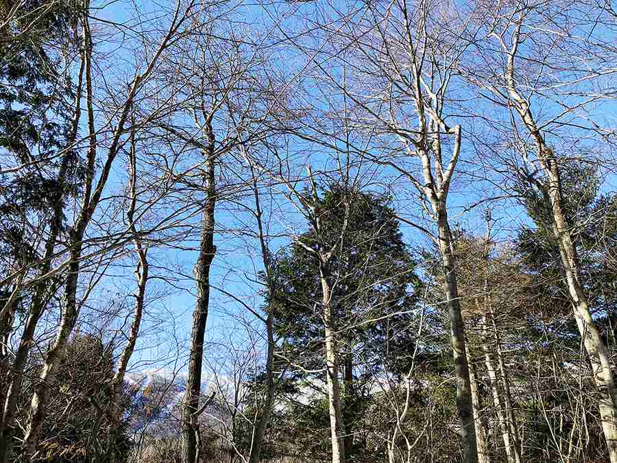 130 Colony Road, Unit 2 Warren, VT 05674 - Photo 27 of 29