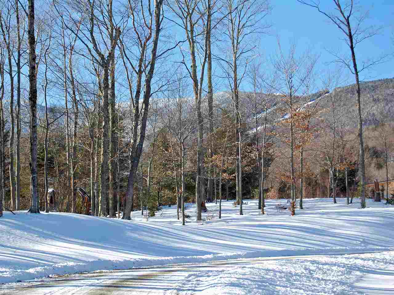 130 Colony Road, Unit 2 Warren, VT 05674 - Photo 28 of 29