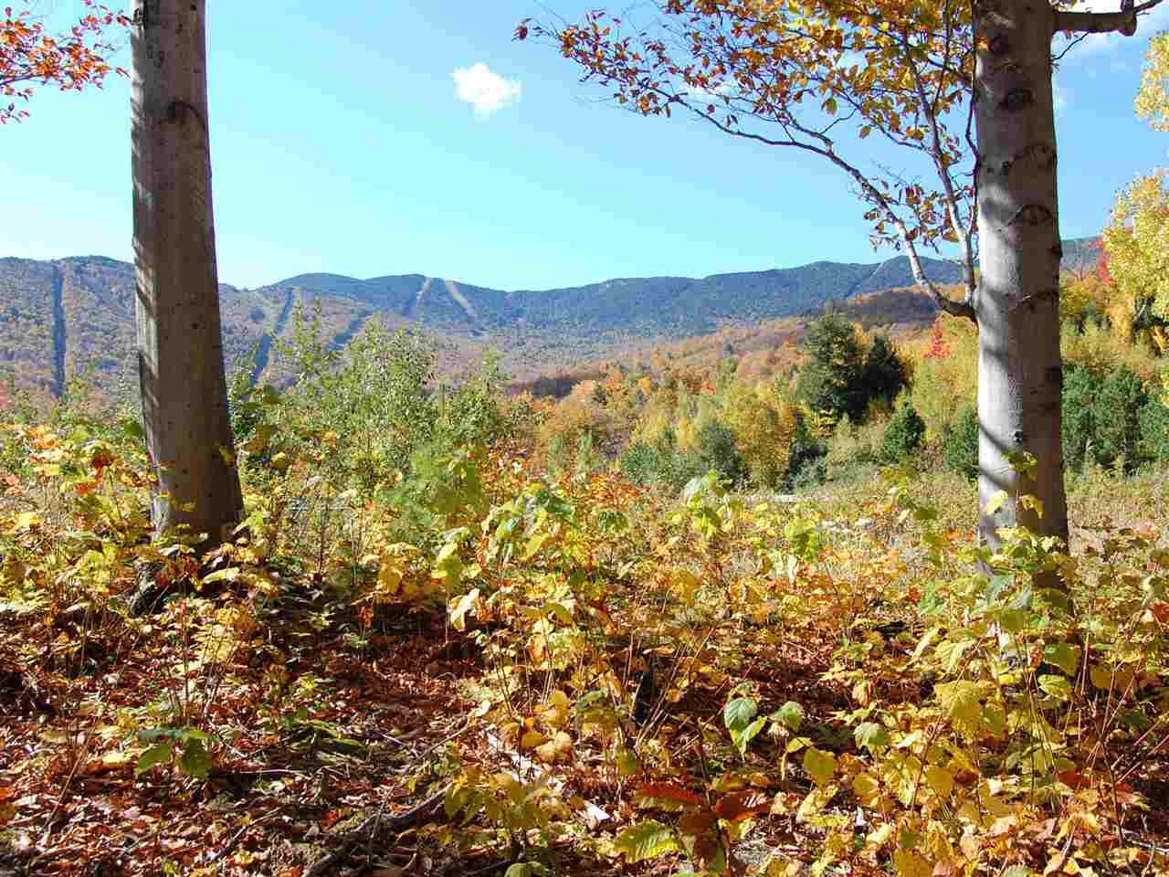 130 Colony Road, Unit 2 Warren, VT 05674 - Photo 4 of 29
