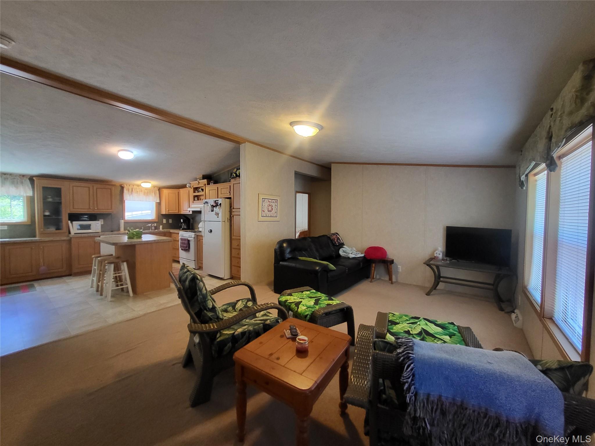 308 William Brown Road Fremont, NY 12741 - Photo 15 of 33 a living room with furniture and a flat screen tv