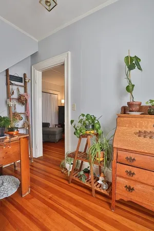 a living room filled with furniture and a potted plant