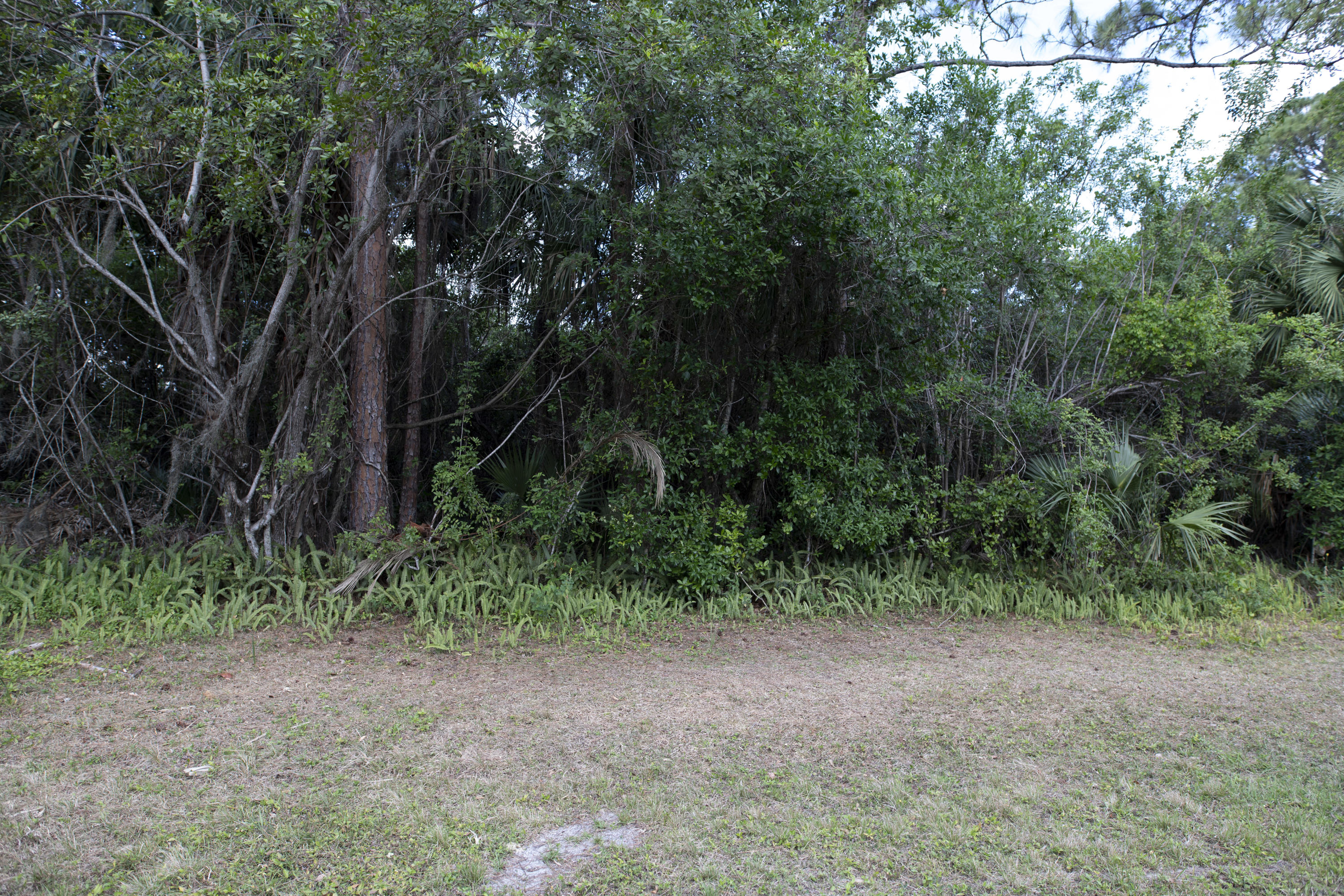 Tbd Sandy Run Road Jupiter, FL 33478 - Photo 2 of 26 Sandy Run East Access