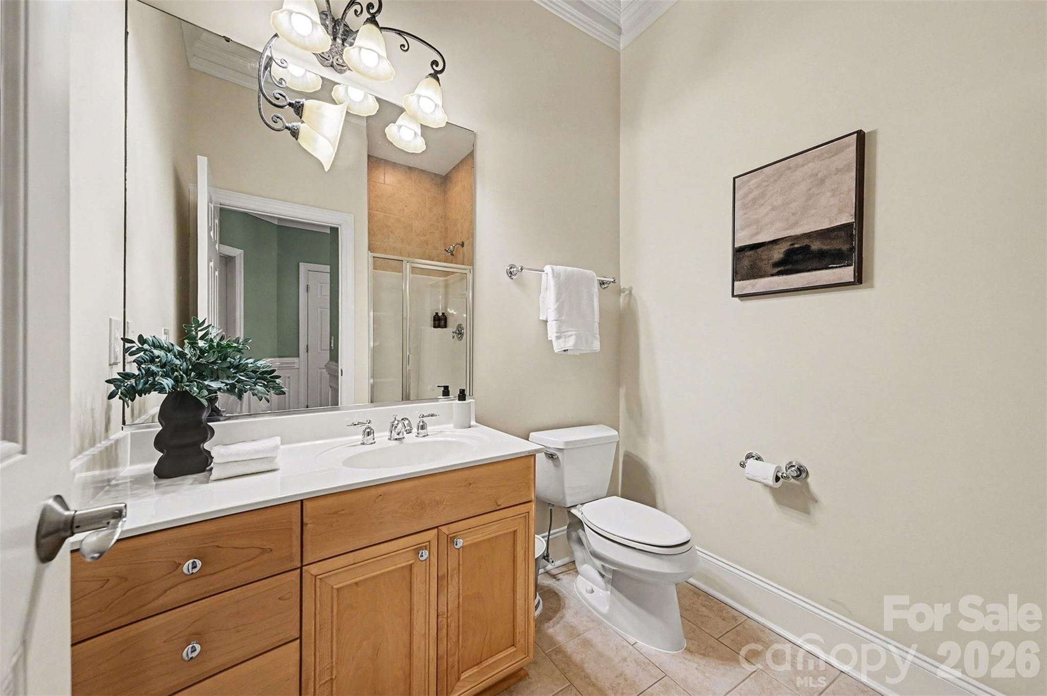 17531 Meadow Bottom Road Charlotte, NC 28277 - Photo 33 of 47 a bathroom with a sink a toilet and a mirror