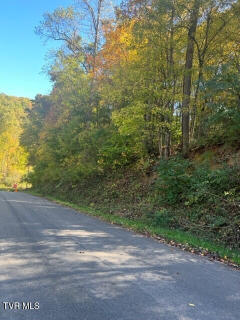 0 Cave Springs/elytown Road, Unit 9 Dryden, VA 24243 - Photo 4 of 11 Pix. 5