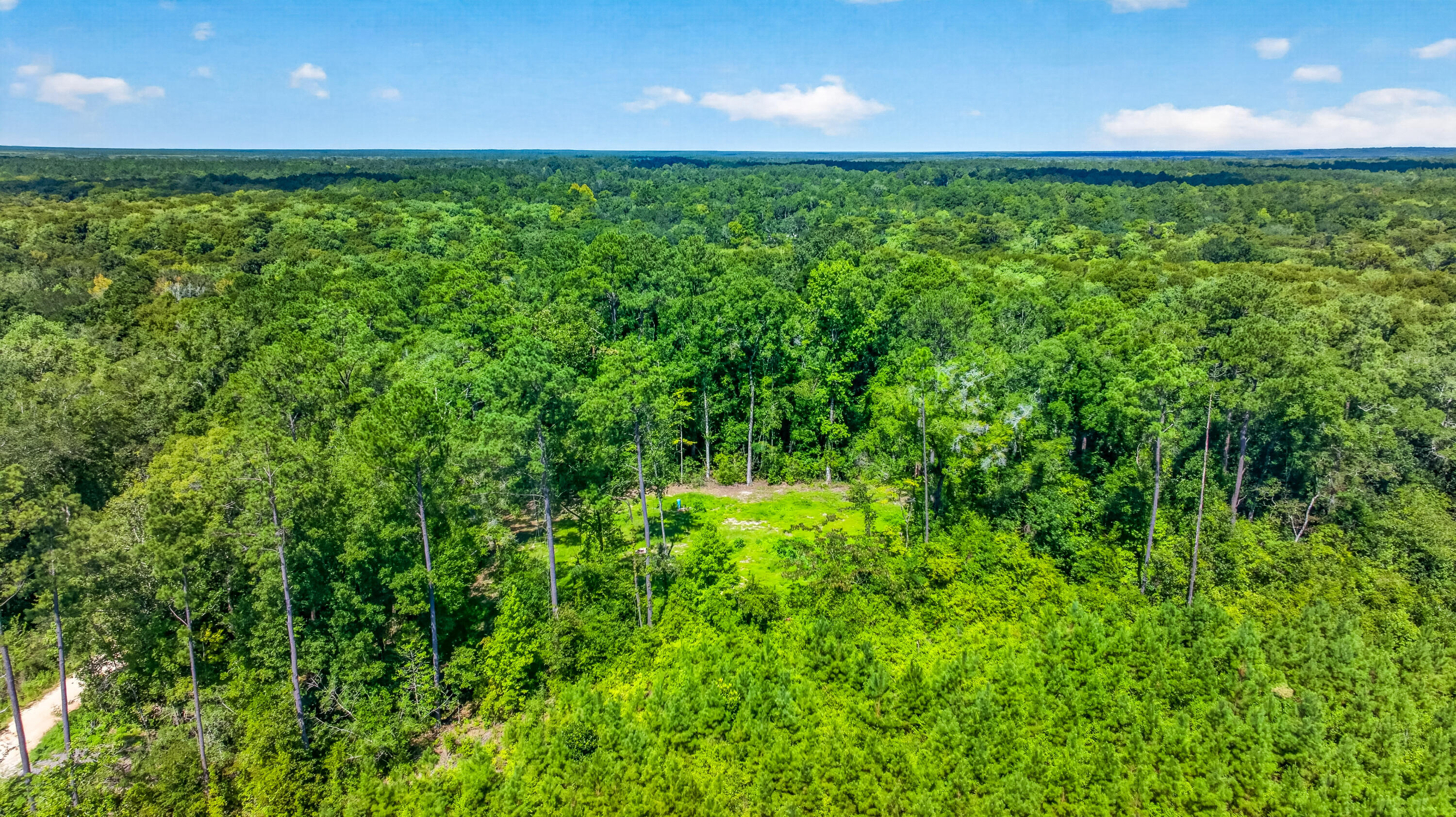 19-acres Potter Spring Road Vernon, FL 32462 - Photo 28 of 28 DJI_0254