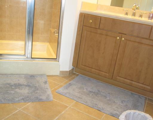 1605 Renaissance Commons Boulevard, Unit 532 Boynton Beach, FL 33426 - Photo 7 of 15 Additional Photo