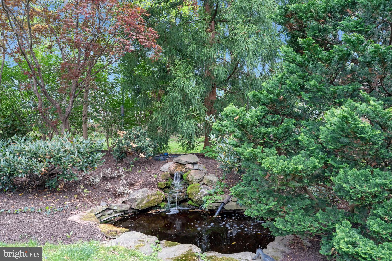 723 Forest Park Road Great Falls, VA 22066 - Photo 64 of 71 a view of a garden with plants and a bench