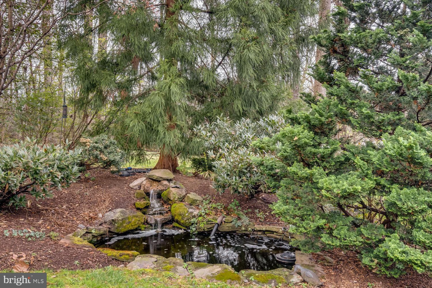723 Forest Park Road Great Falls, VA 22066 - Photo 10 of 71 Filtered koi pond
