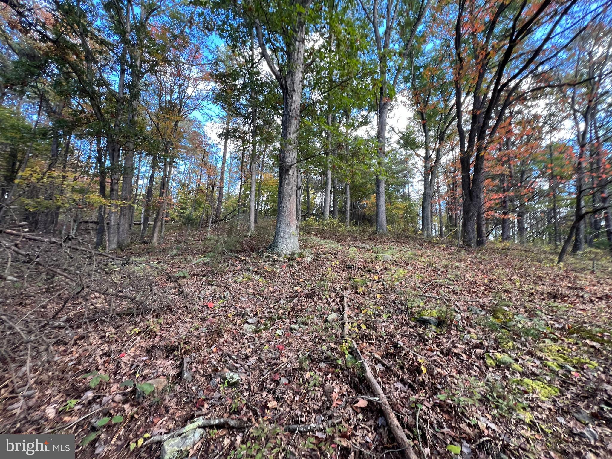 Lot 6 Deep Run Hollow Road Delray, WV 26714 - Photo 12 of 18 a backyard of a house with lots of green space
