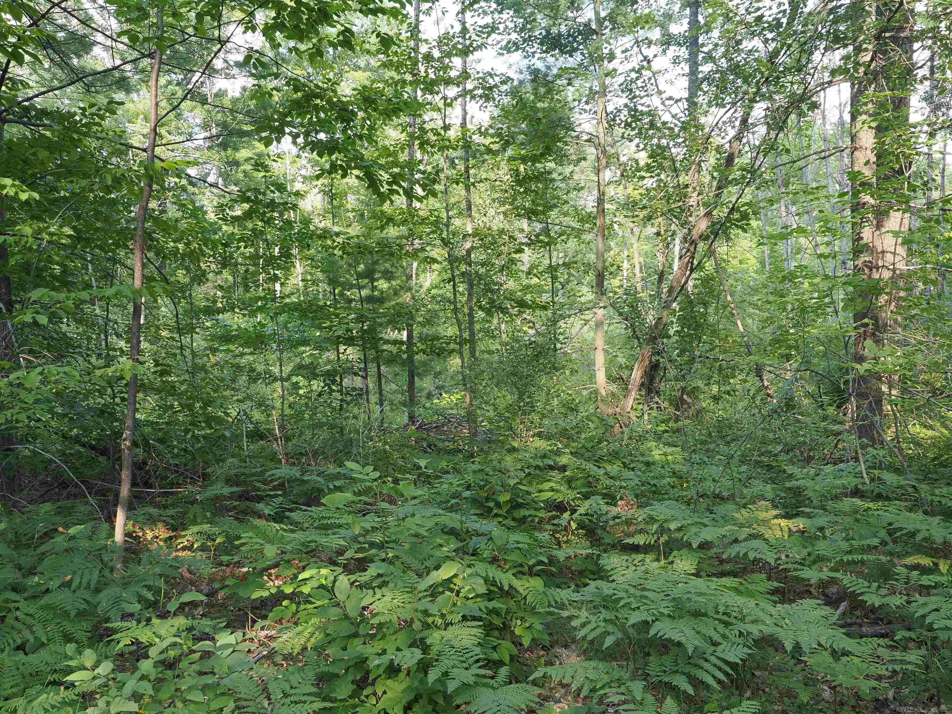 Xxx Emig Road Comins, MI 48619 - Photo 27 of 63 Gallery Image 27
