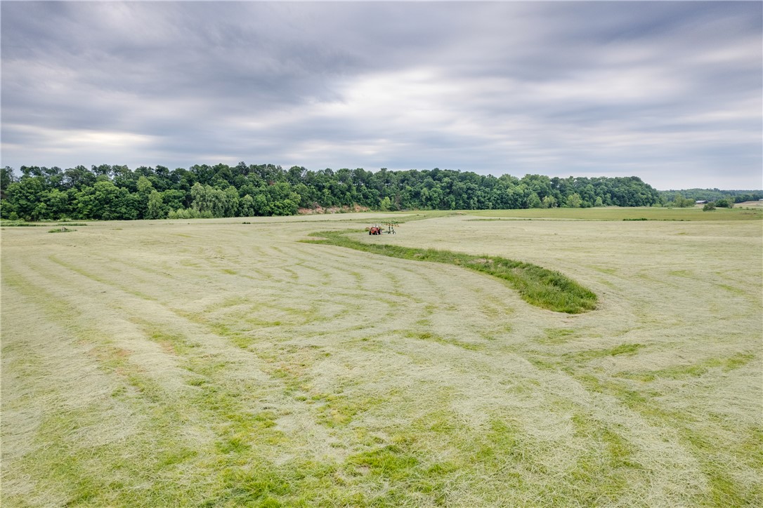 Tbd Cincinnati Creek Road Summers, AR 72769 - Photo 10 of 13 Gallery Image 10
