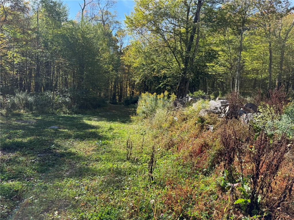 Roses Brk Road Hobart, NY 13788 - Photo 3 of 13