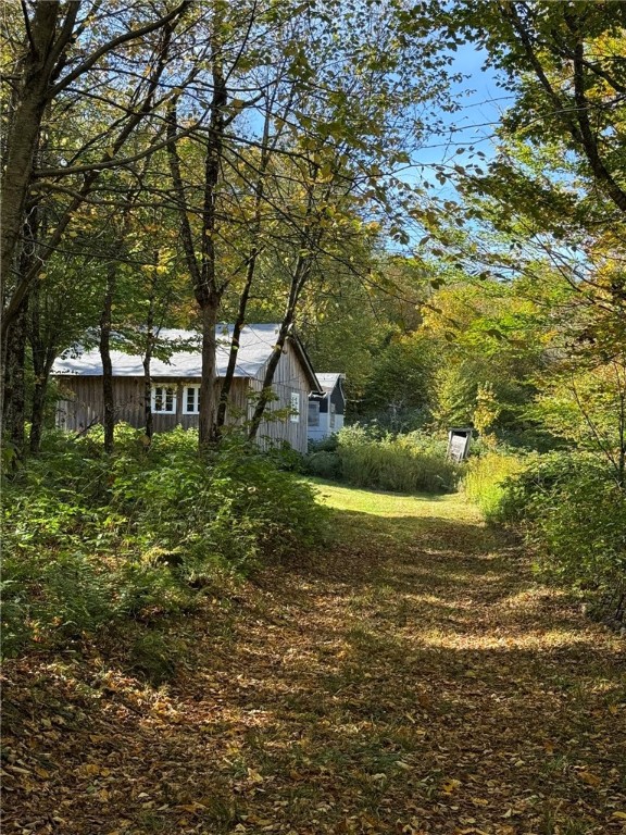Roses Brk Road Hobart, NY 13788 - Photo 4 of 13