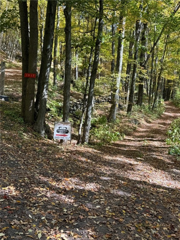 Roses Brk Road Hobart, NY 13788 - Photo 5 of 13