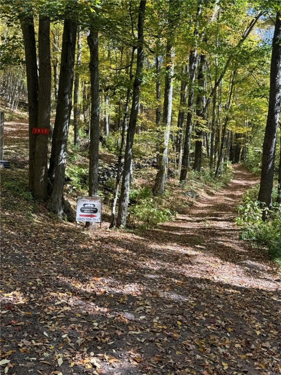 Roses Brk Road Hobart, NY 13788 - Photo 6 of 13