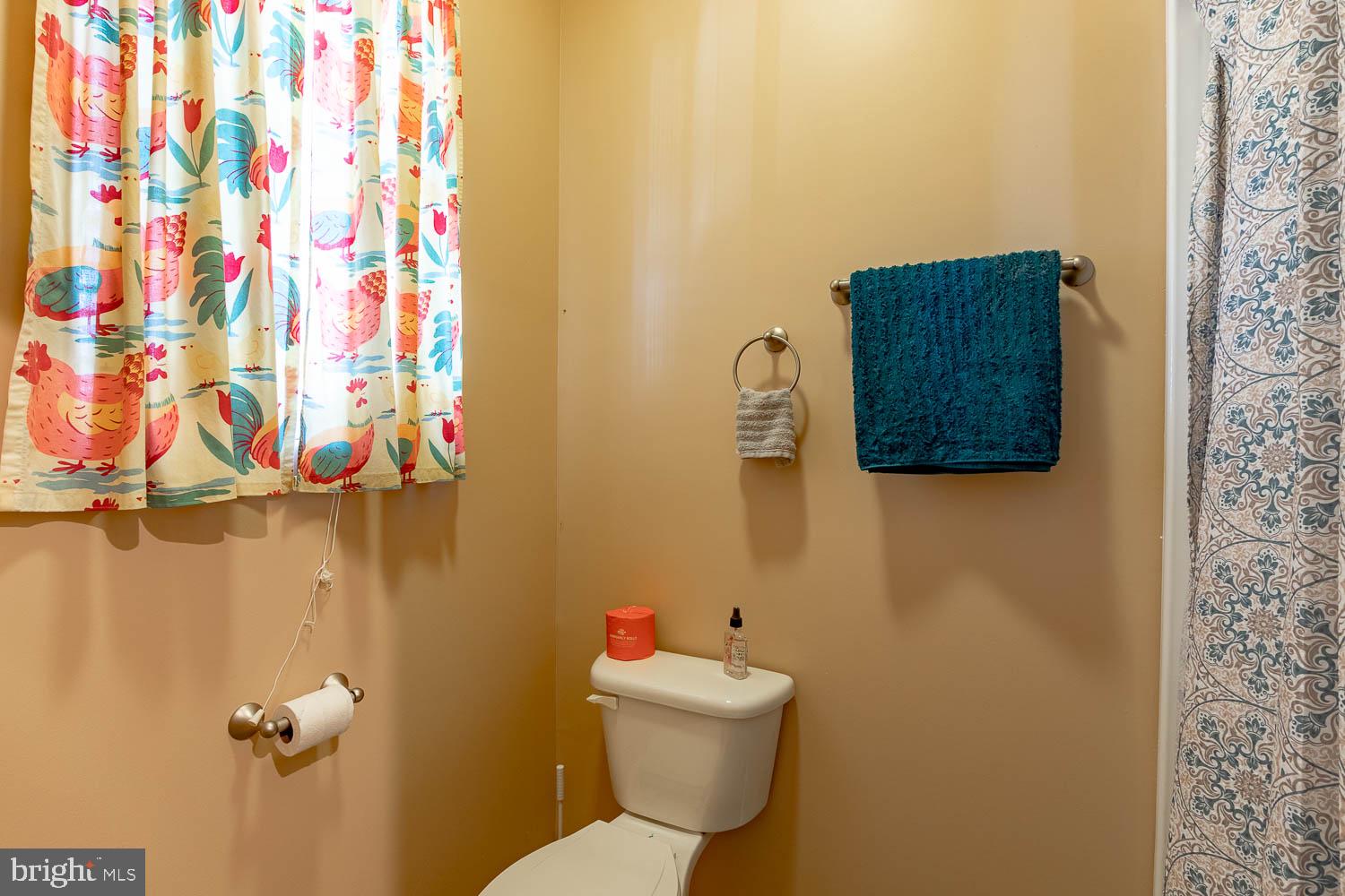 321 Mount Nittany Road Lemont, PA 16851 - Photo 32 of 43 a bathroom with a toilet and a shower curtain
