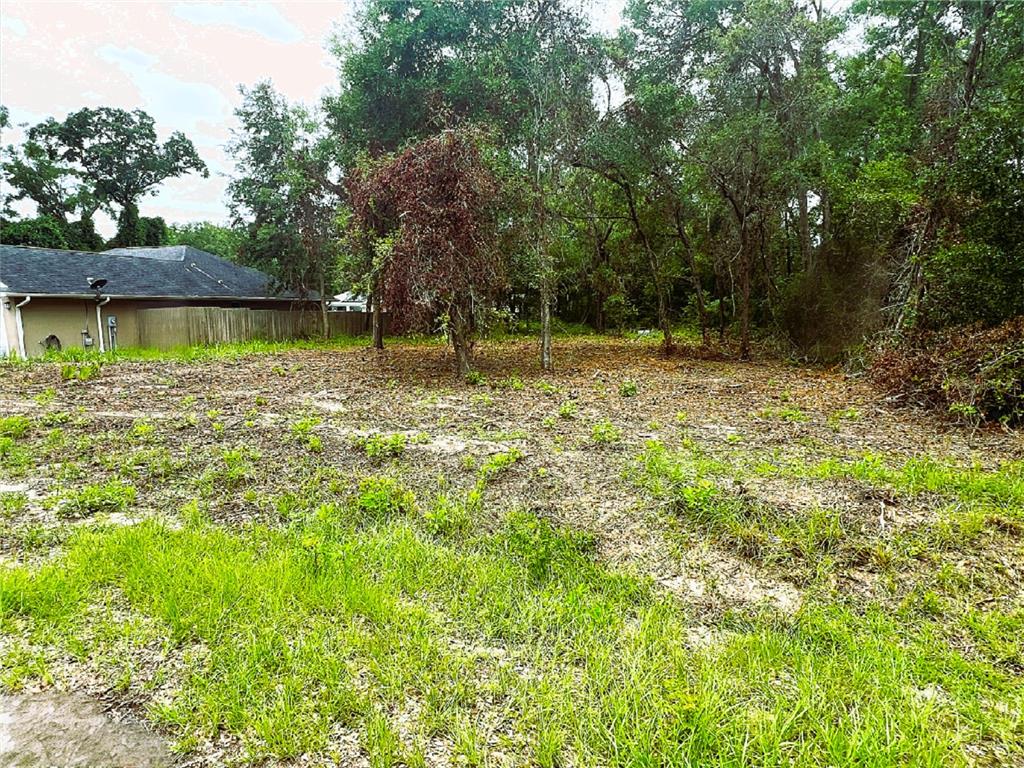 41 Southeast 81st Court Summerfield, FL 34491 - Photo 2 of 7 a view of a yard with a tree