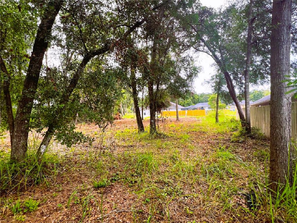 41 Southeast 81st Court Summerfield, FL 34491 - Photo 6 of 7 a view of back yard