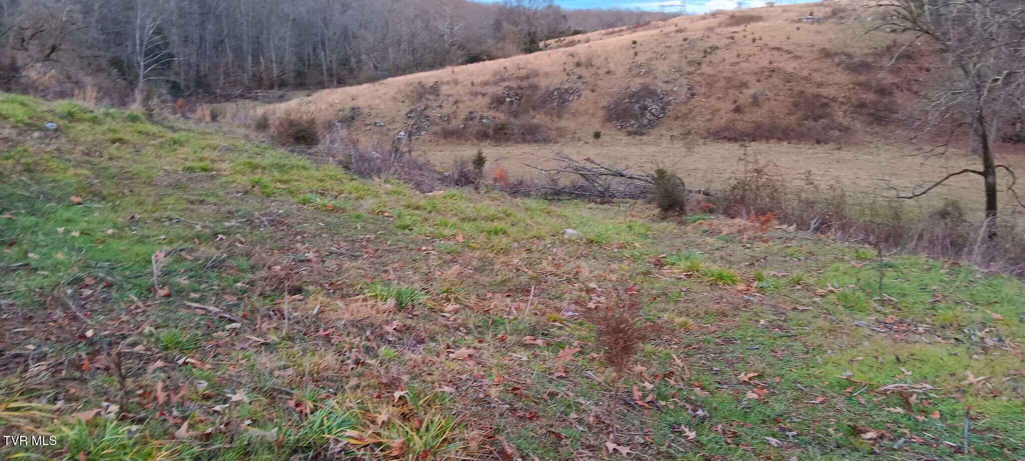 Tbd Boring Chapel Road Johnson City, TN 37615 - Photo 5 of 12 1000032996