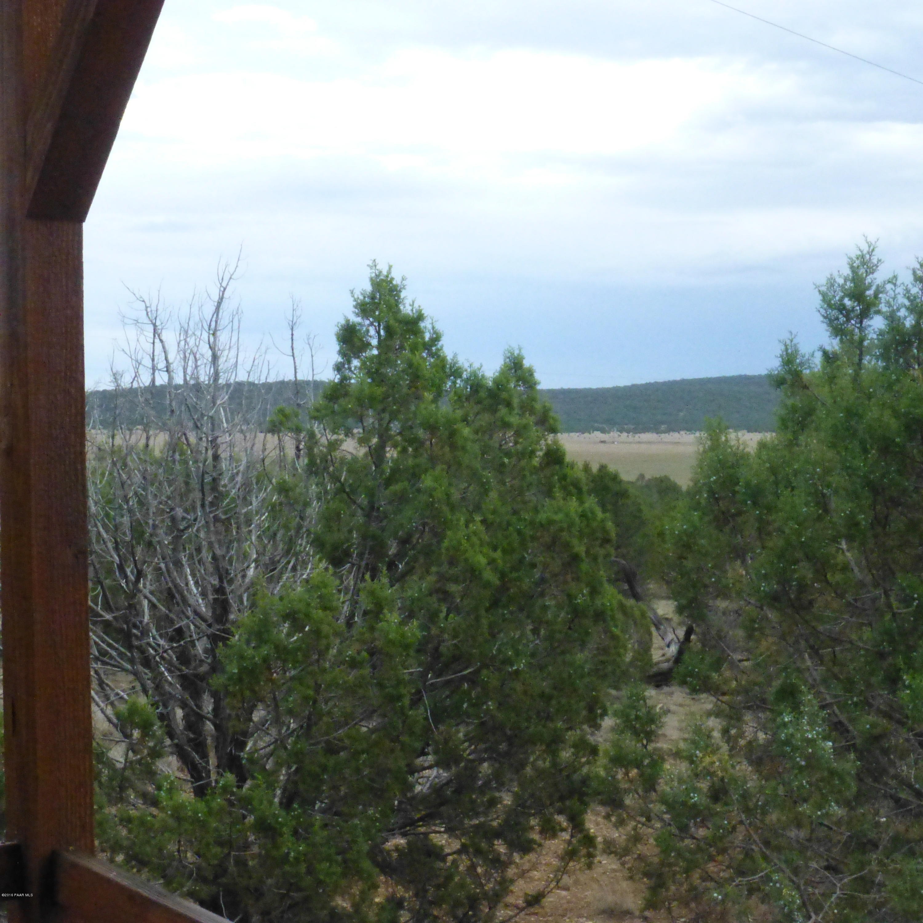 34070 West Elk Run Road Seligman, AZ 86337 - Photo 18 of 24 P1040805