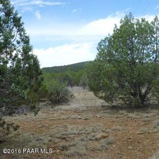 34070 West Elk Run Road Seligman, AZ 86337 - Photo 22 of 24 Jankowski trees