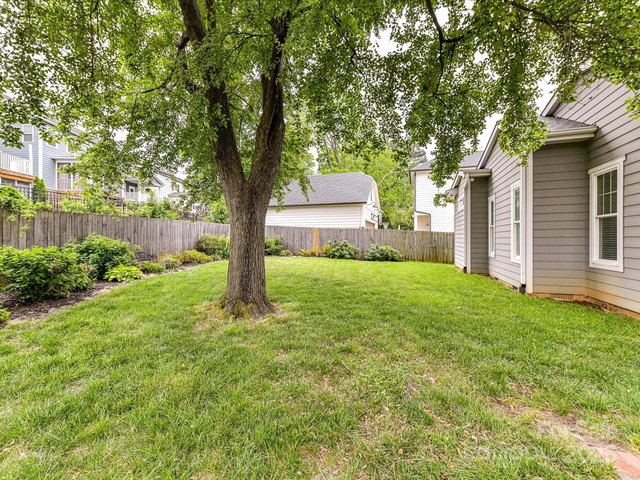 335 Greystone Road Charlotte, NC 28209 - Photo 36 of 37 a large tree in the garden of the house