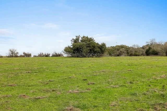 a view of a field with an ocean view