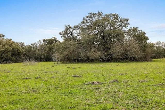 a view of a field with an trees