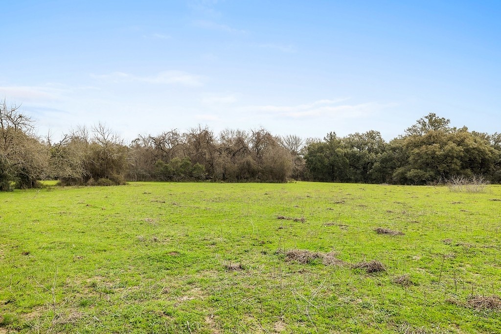 3 Tbd Kleihege Road New Ulm, TX 78950 - Photo 7 of 9 a view of outdoor space and yard