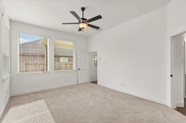 a picture of flowers