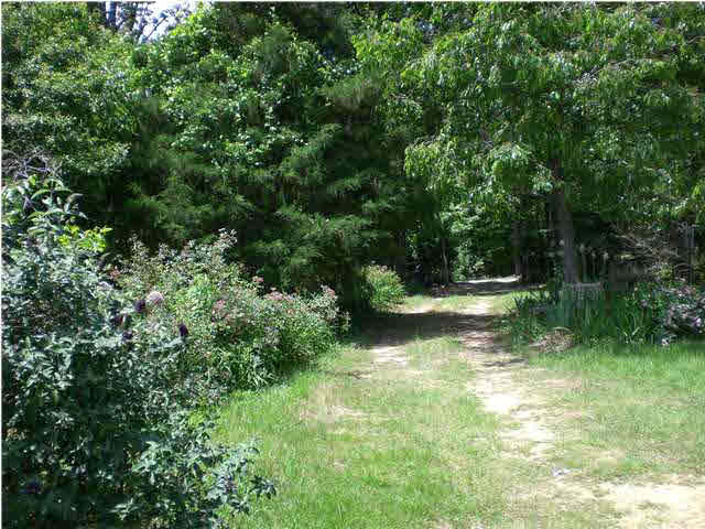 170 Kiddie Road Lena, MS 39094 - Photo 8 of 10 Photo 8