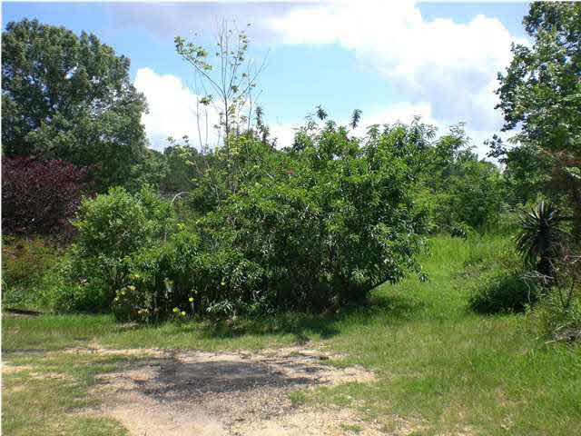 170 Kiddie Road Lena, MS 39094 - Photo 10 of 10 Photo 10