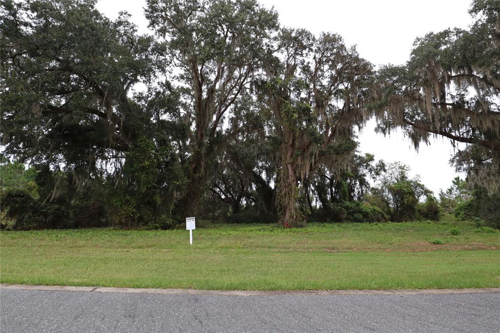 463 Long And Winding Road Groveland, FL 34737 - Photo 1 of 1 BSR lot 36 front