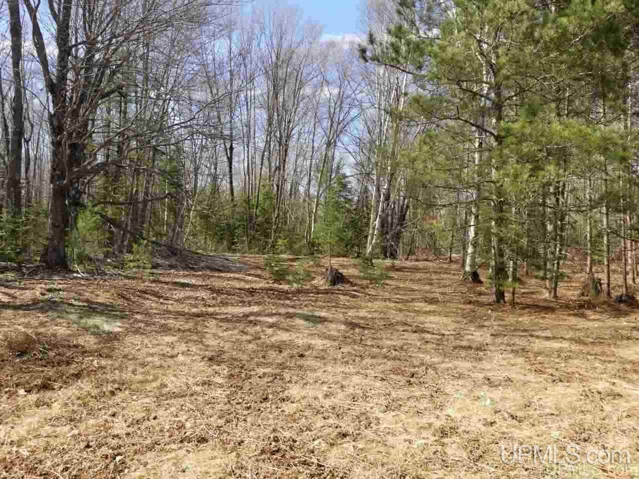 Tbd 2224 Road Wetmore, MI 49895 - Photo 8 of 14