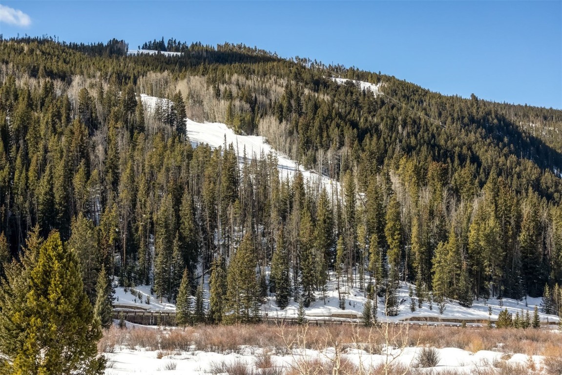 56 River Run Road, Unit 201 Keystone, CO 80435 - Photo 12 of 44 a view of outdoor space with trees