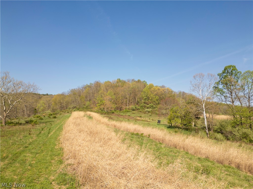 80960 Burkhart Road Tippecanoe, OH 44699 - Photo 23 of 50
