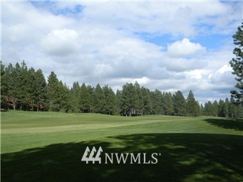 311 Rocking Chair Road Cle Elum, WA 98922 - Photo 2 of 3 Gallery Image 2
