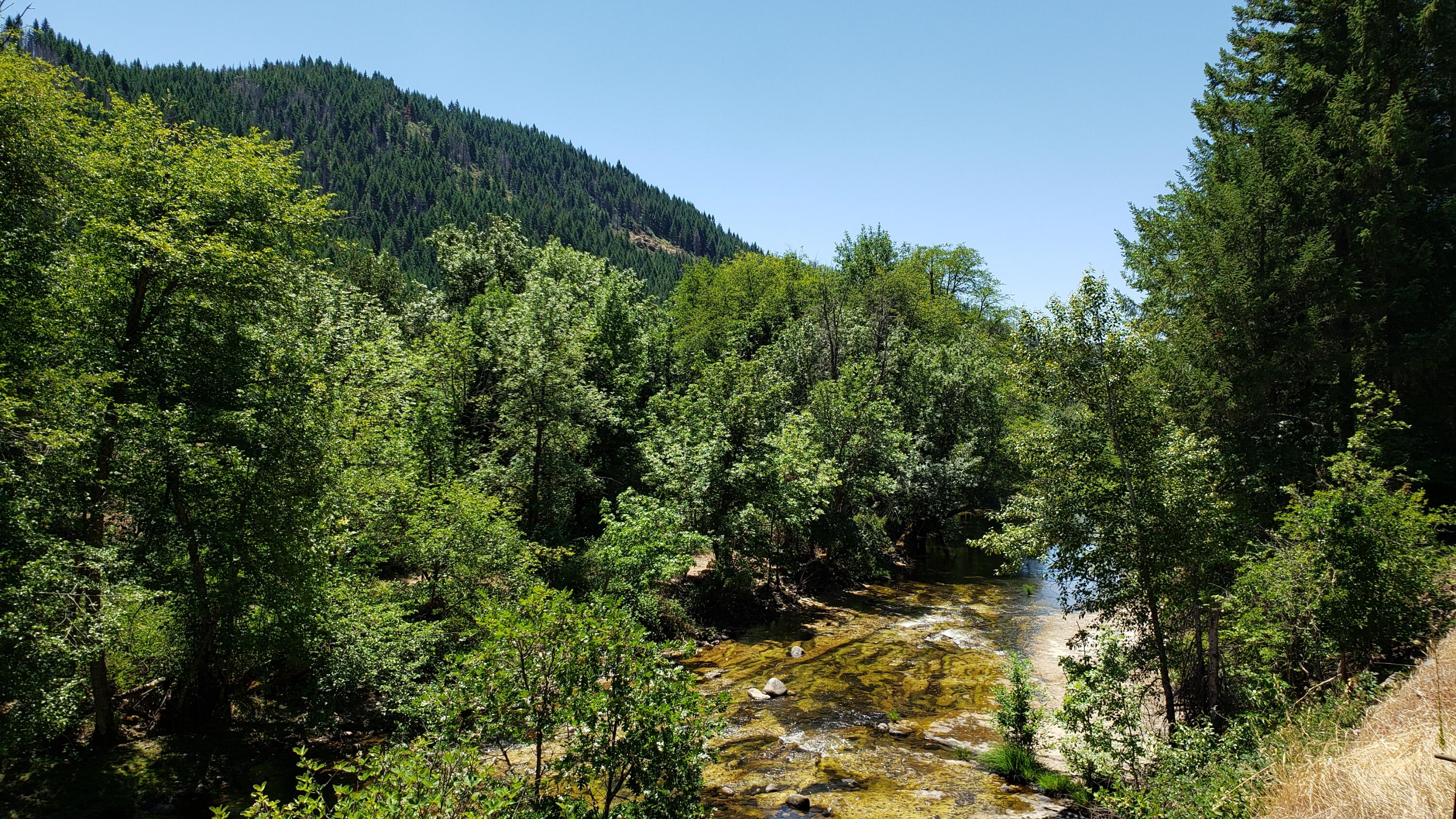 11241 Elk Creek Road Trail, OR 97541 - Photo 5 of 16 20230630_125706