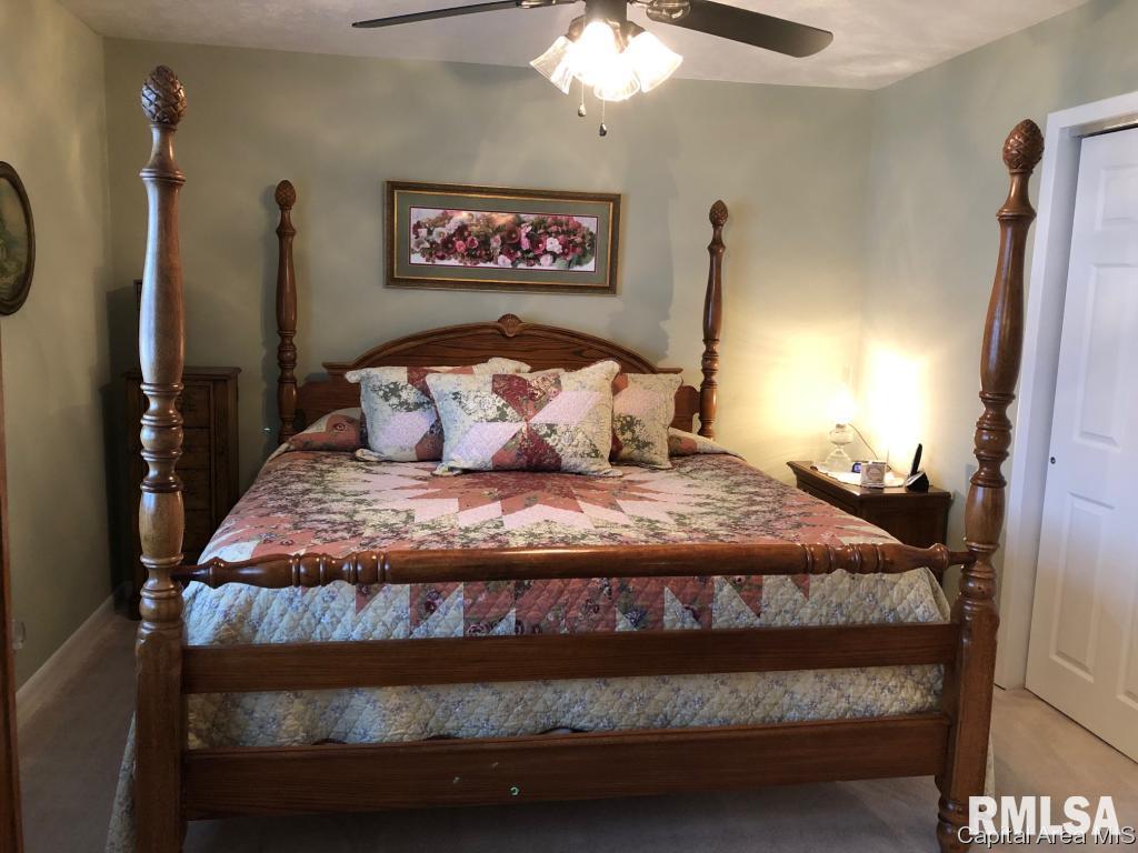 100 Maple Lane Rochester, IL 62563 - Photo 18 of 22 Gallery Image 18