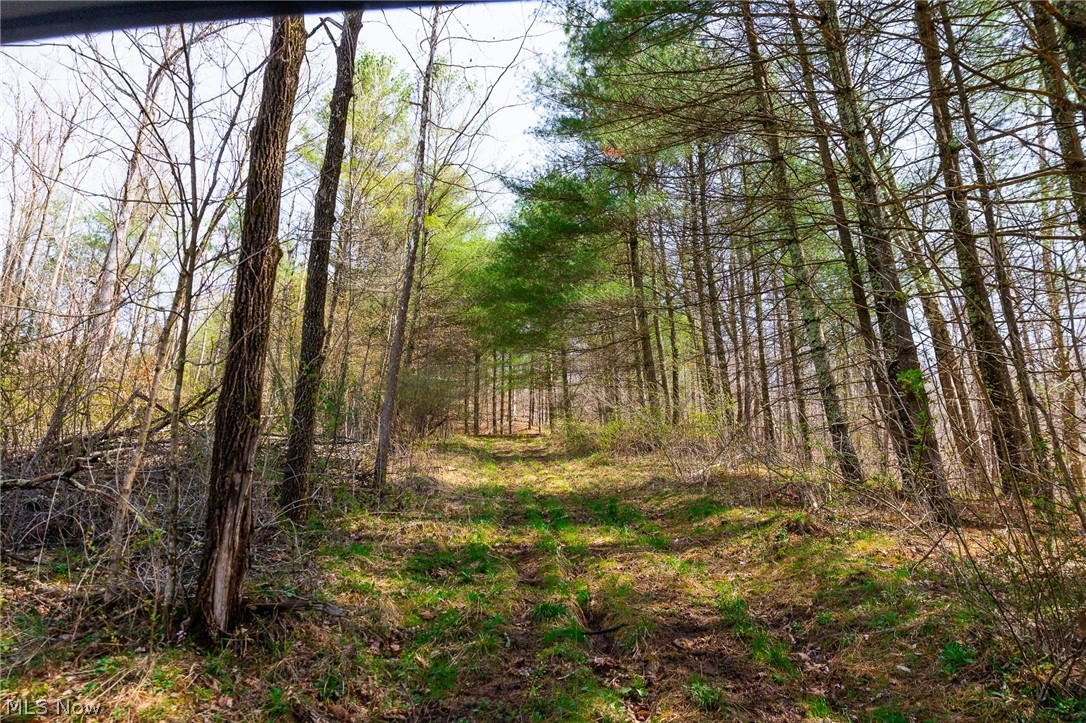 East Branch Road Lowell, OH 45744 - Photo 14 of 29